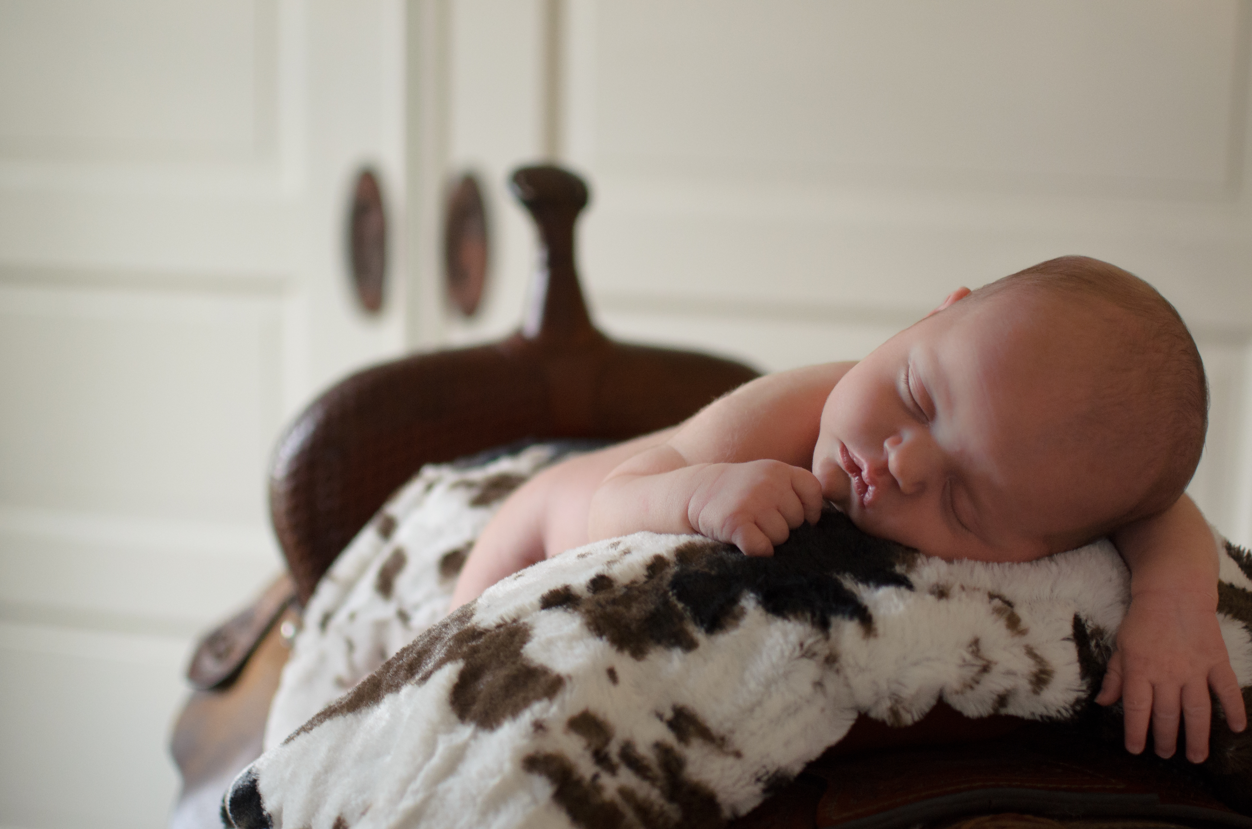 demopolis alabama newborn photographer